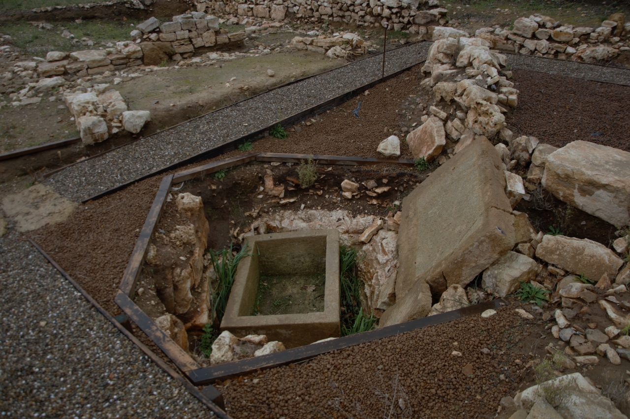 acropoli 6